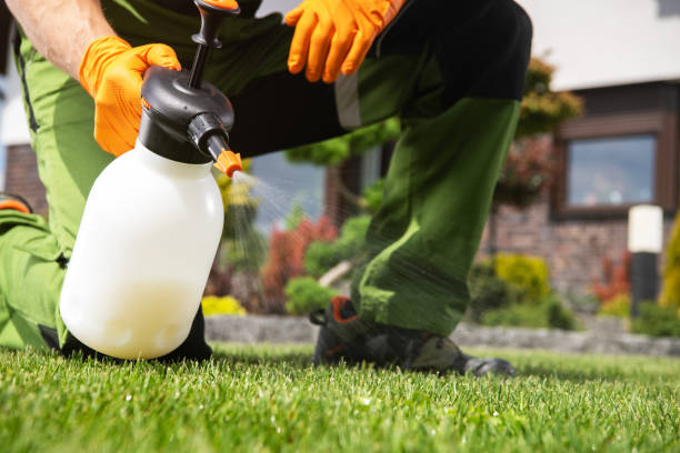 Best Local Pest Control Services  in Dickson, OK